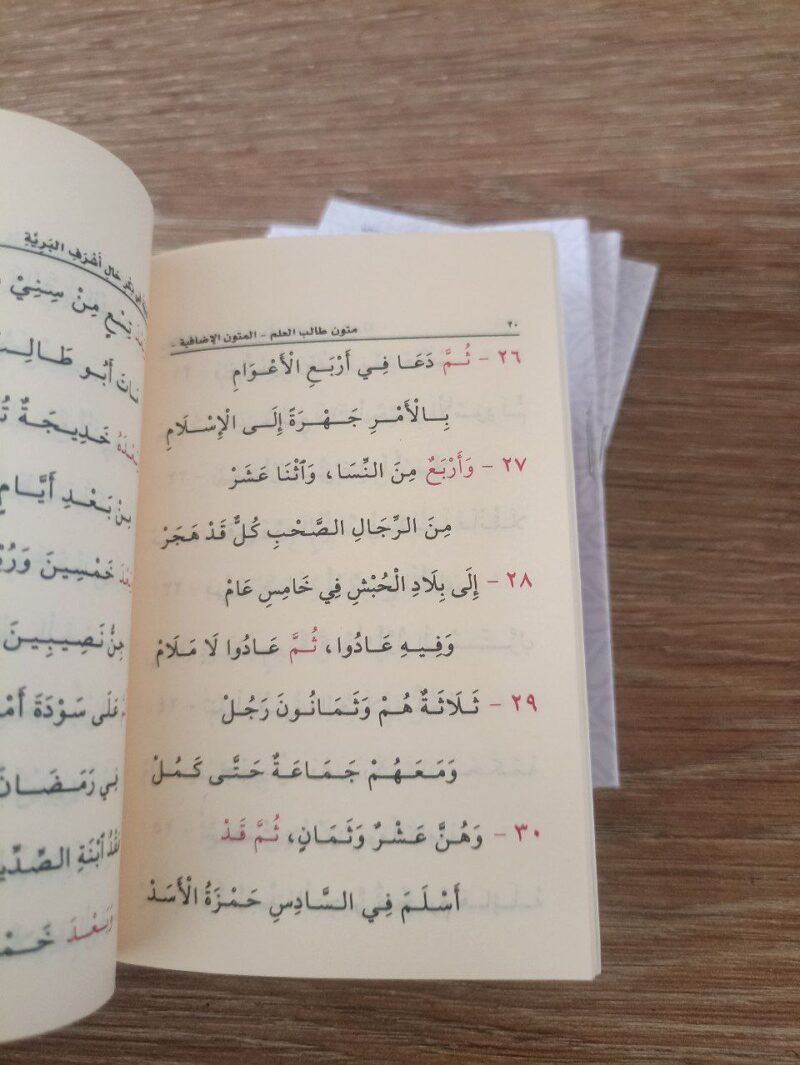 Alternative view of الأرجوزة المئية