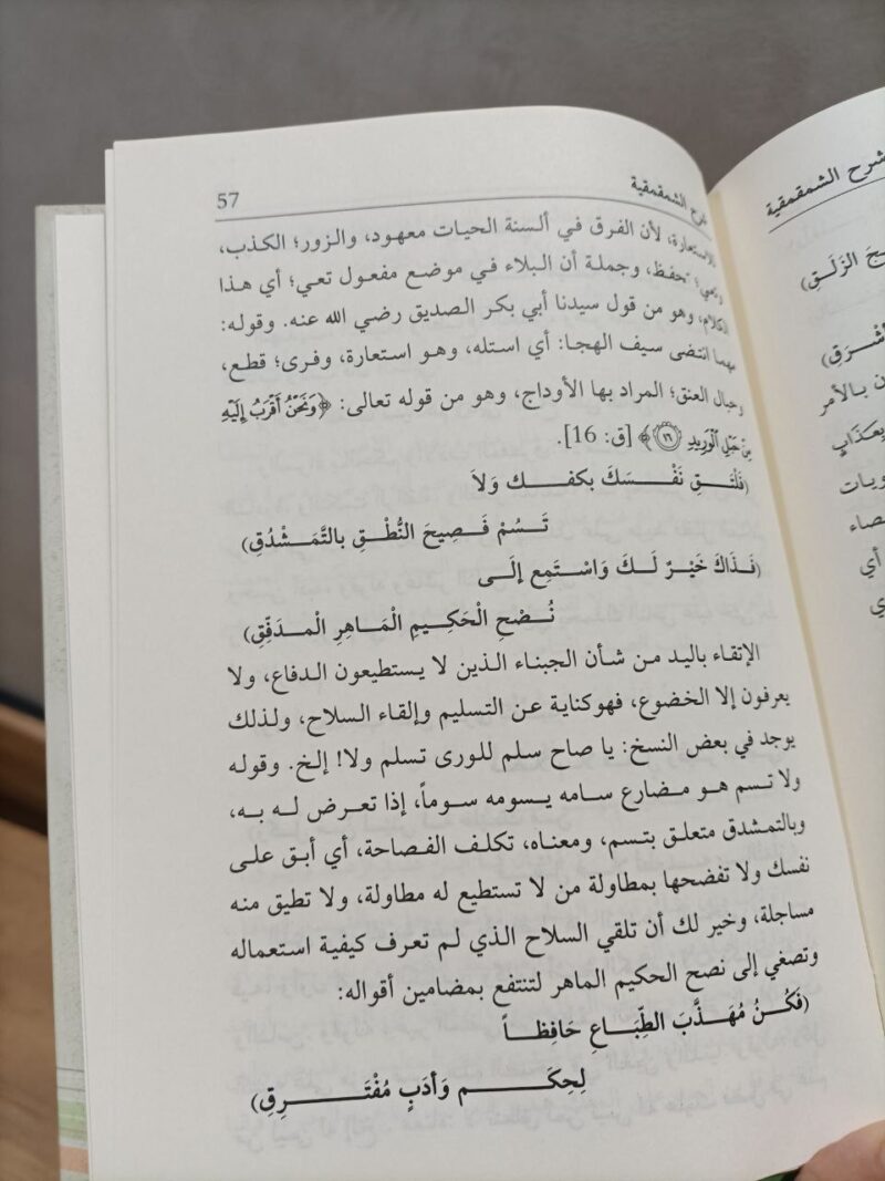 Alternative view of شرح الشمقمقية