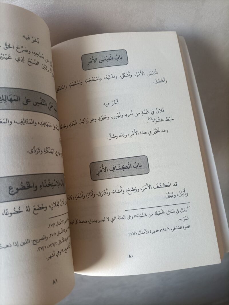 Alternative view of التوسع في الترسل