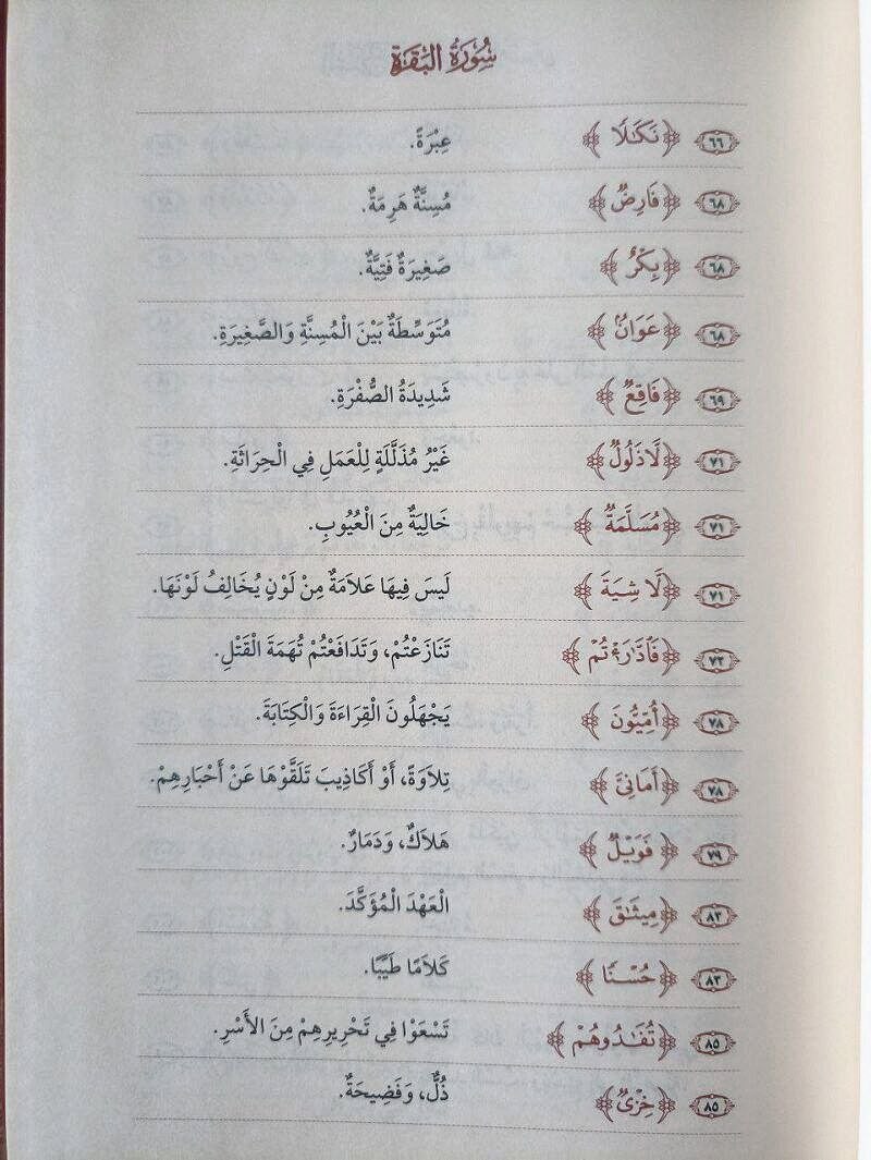 السراج في بيان غريب القرآن – Image 3